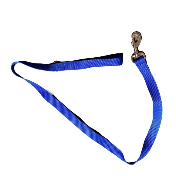 1” Reinforced Walking Lease in Blue, [46” Length] - Picture 4 of 4